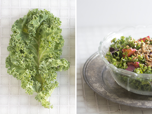 Sund grønkål healthy kale