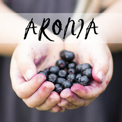 Aronia surbær opskrifter