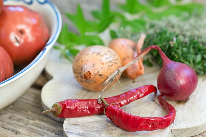 tomatsuppe chili løg krydderurter