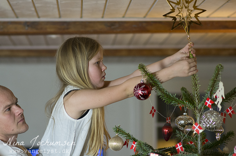 Alma sætter stjerne på juletræet - www.vangelyst.dk
