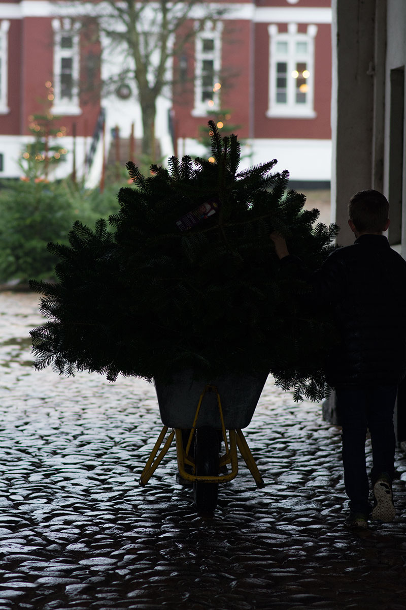 Juletradition - www.vangelyst.dk