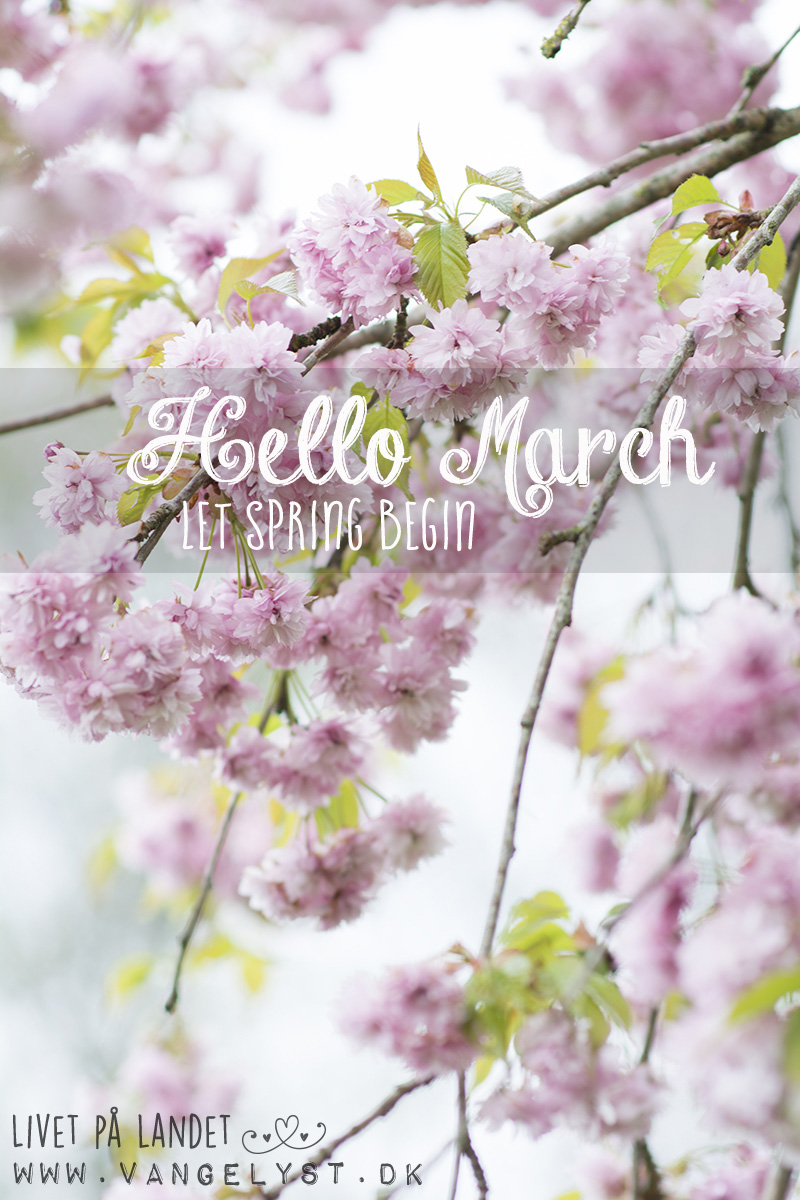 Hello March - forår 2016 www.vangelyst.dk