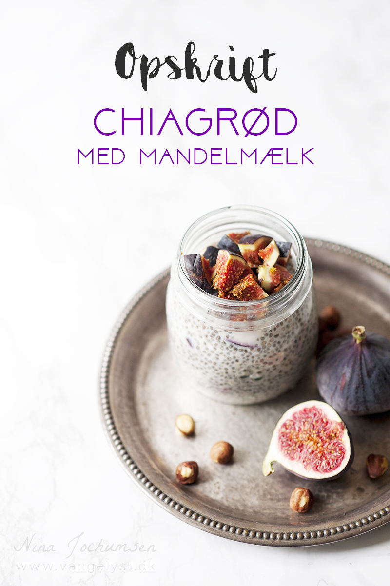Opskrift på chiagrød med mandelmælk - www.vangelyst.dk